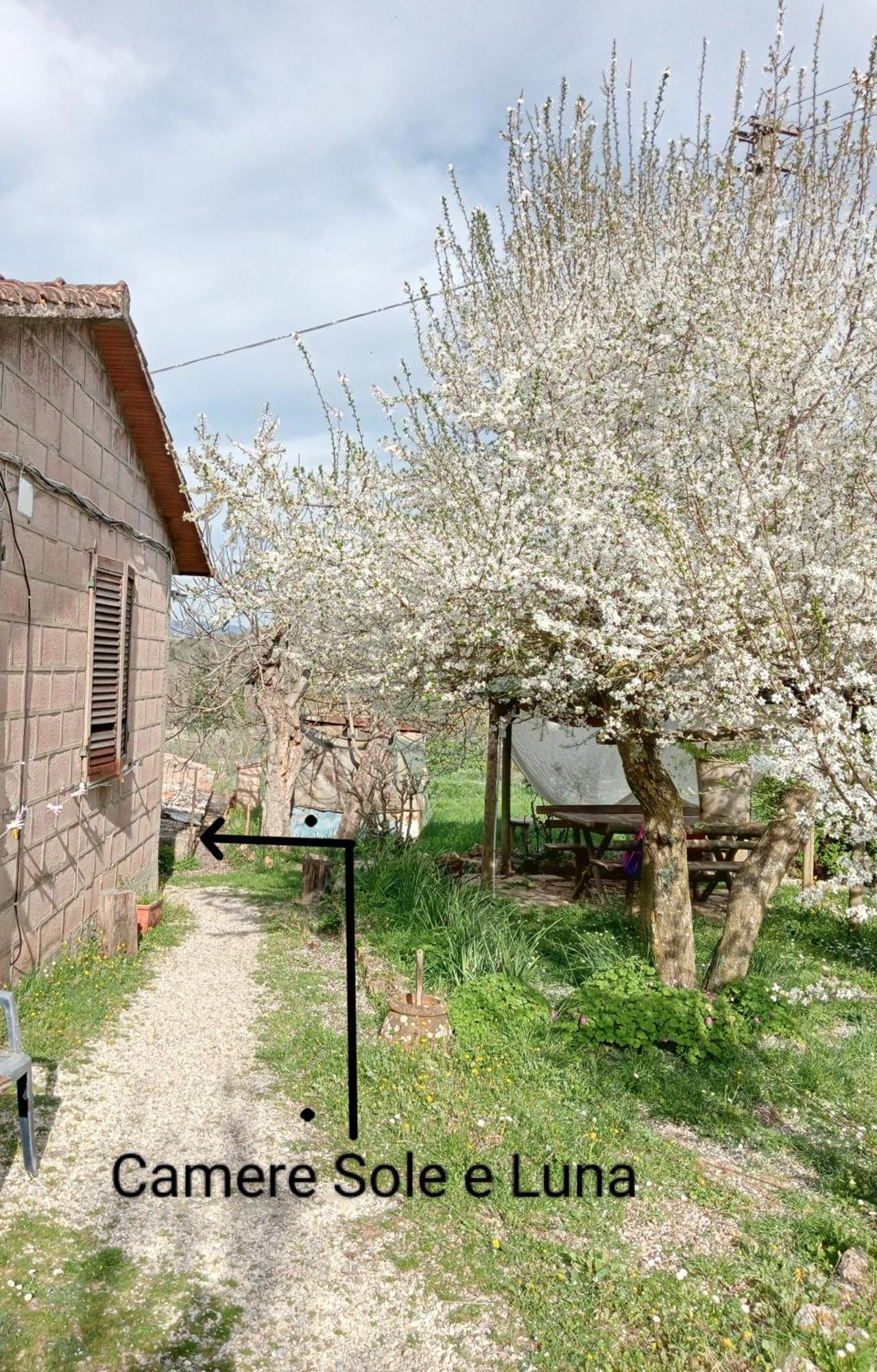 Affittacamere La Casella مونتيريجيوني المظهر الخارجي الصورة