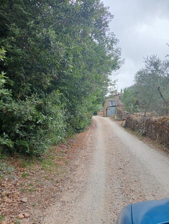 Affittacamere La Casella مونتيريجيوني المظهر الخارجي الصورة