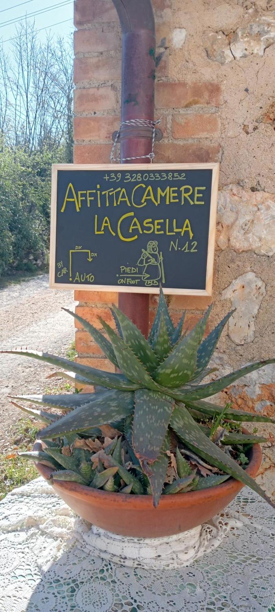 Affittacamere La Casella مونتيريجيوني المظهر الخارجي الصورة